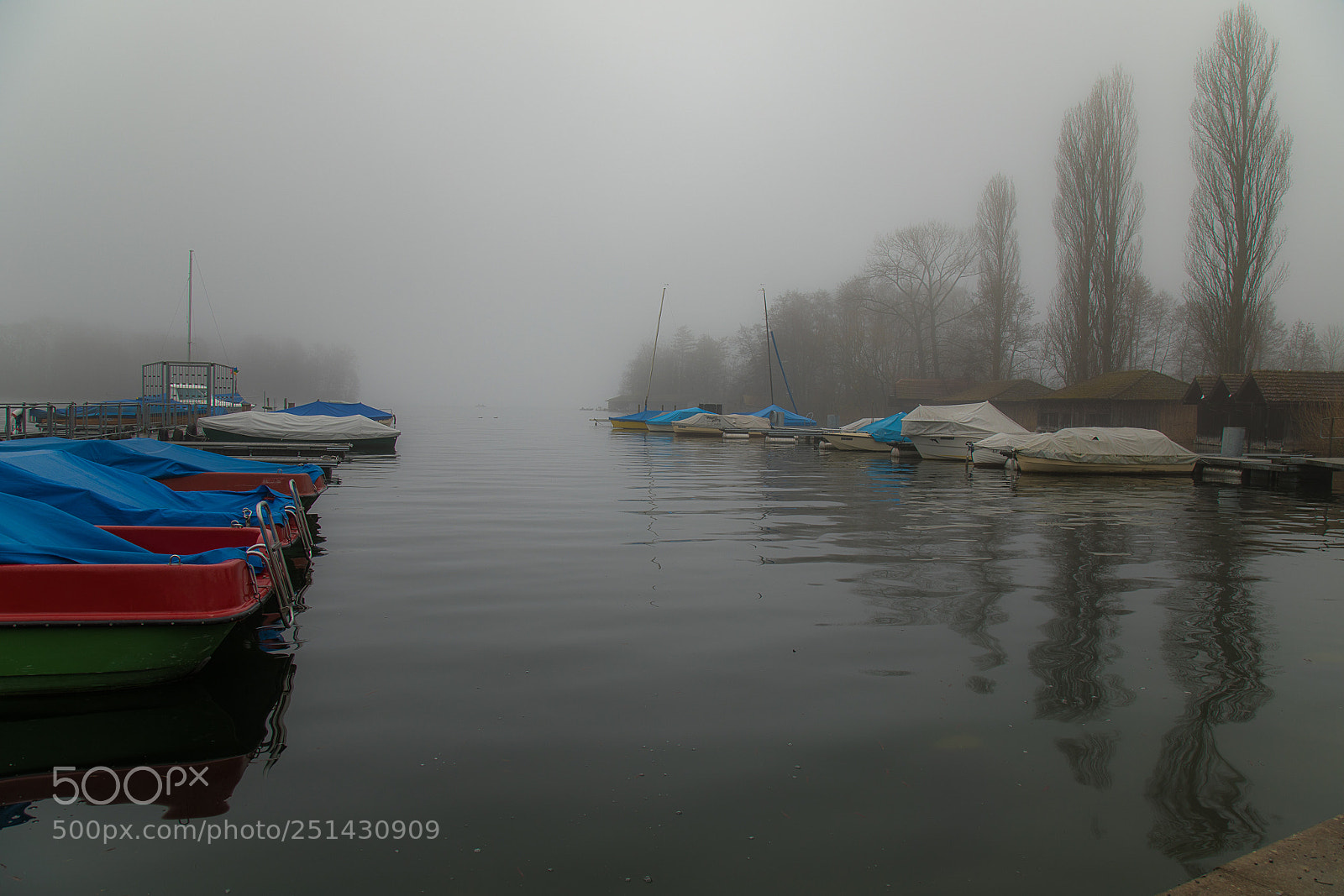 Canon EOS 5D Mark IV sample photo. A foggy morning at photography