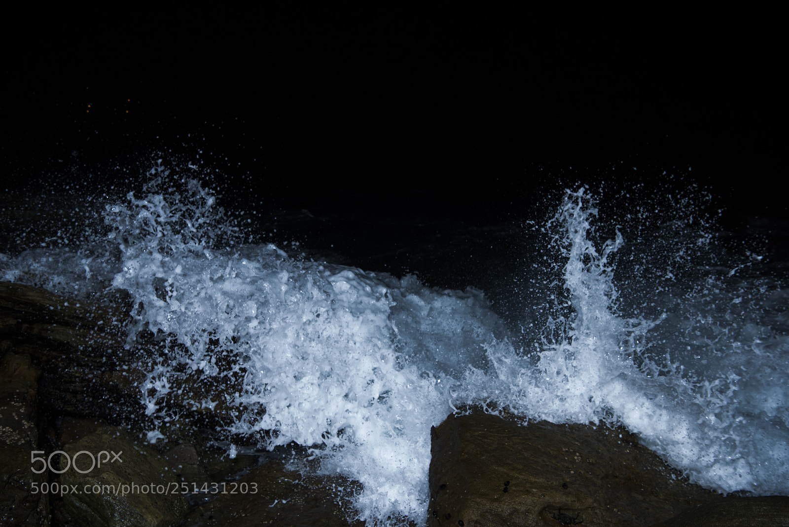 Nikon D810 sample photo. Untitled photography