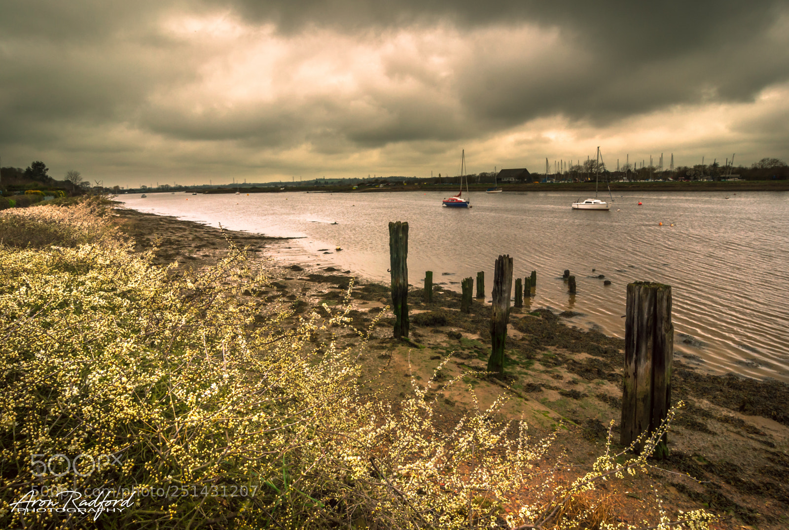 Nikon D5000 sample photo. Hullbridge shoreline. photography