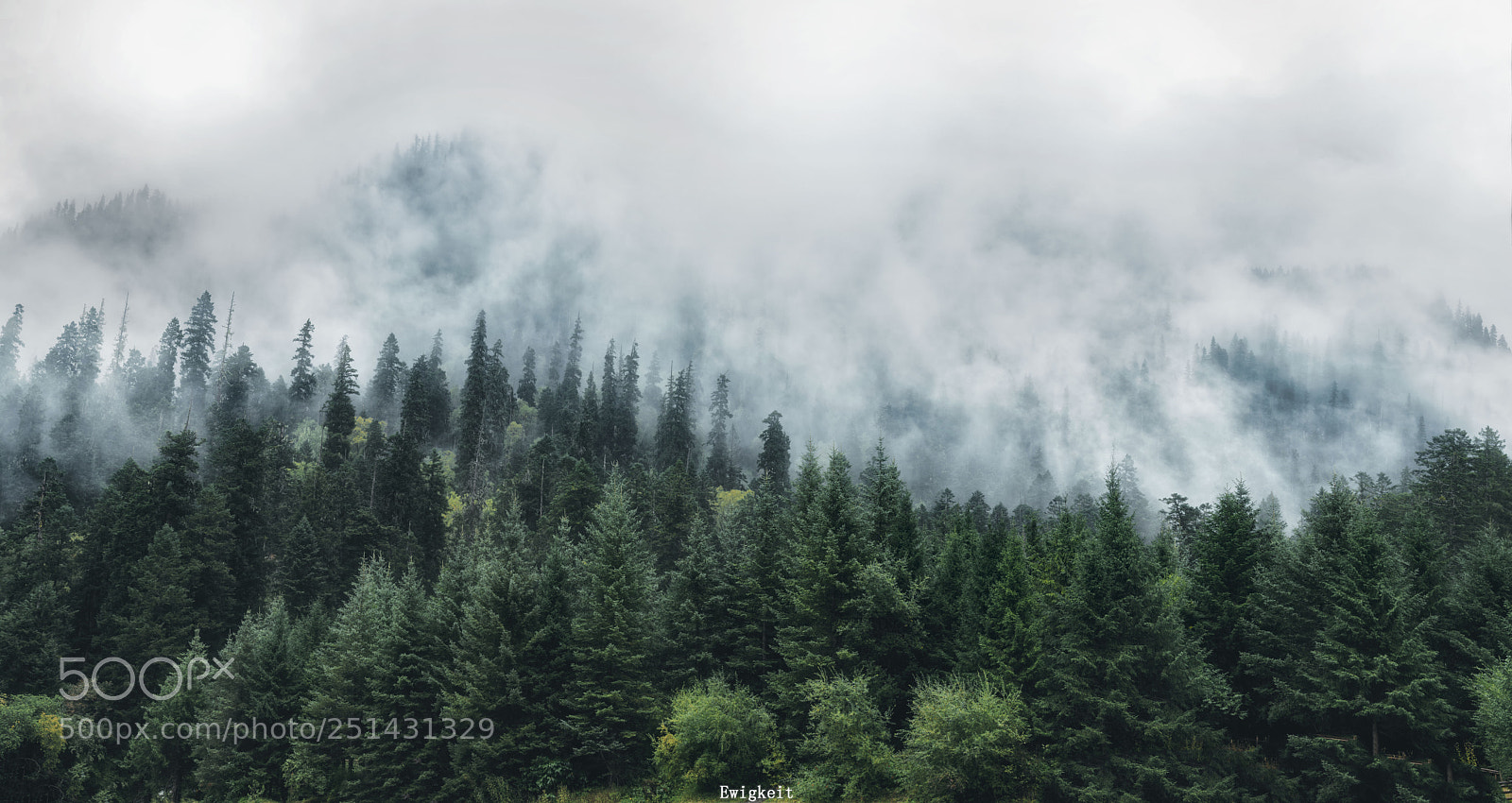 Nikon D7100 sample photo. Mist photography