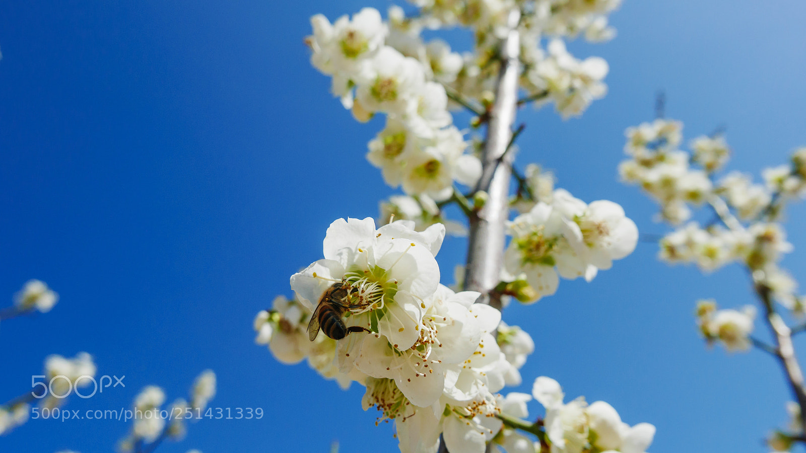 Panasonic Lumix DMC-LX100 sample photo. One day photography