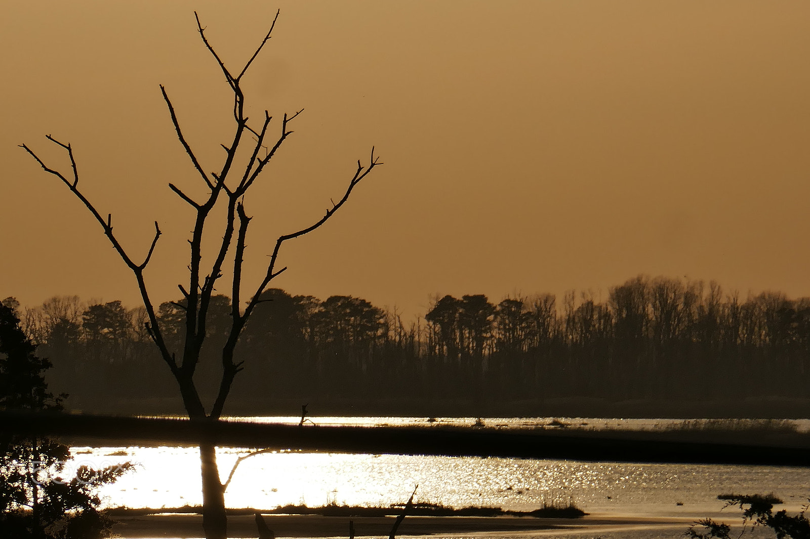 Panasonic Lumix DMC-ZS100 (Lumix DMC-TZ100) sample photo. Twilight orange photography