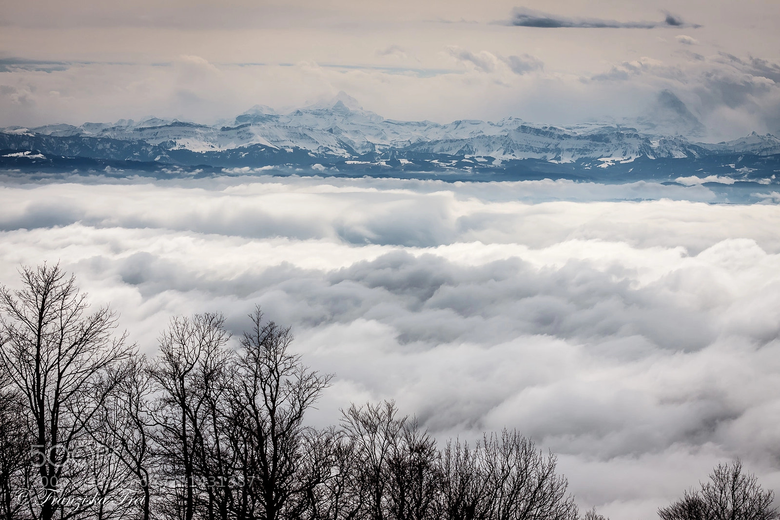 Canon EOS 50D sample photo. Weissenstein photography