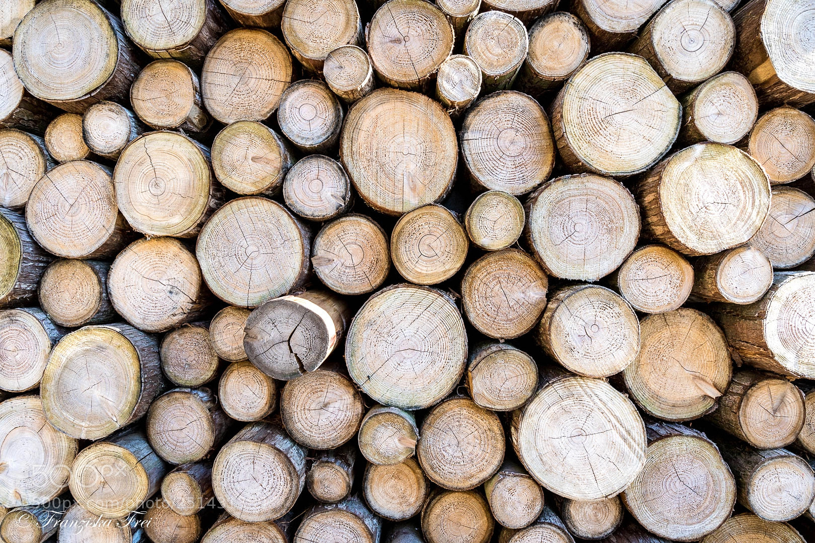 Sony a7R III sample photo. Wood photography