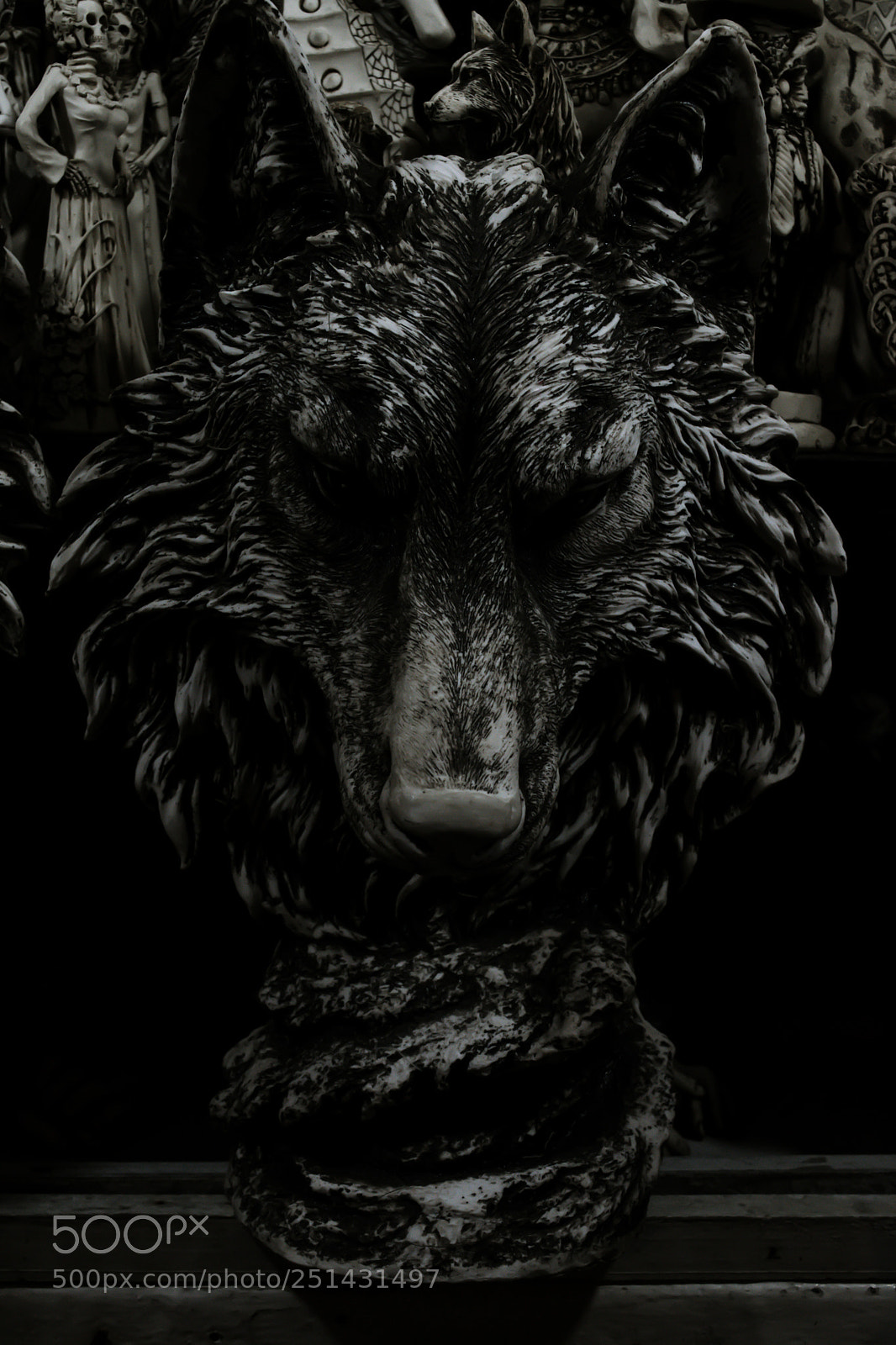 Nikon D3300 sample photo. The wolf photography
