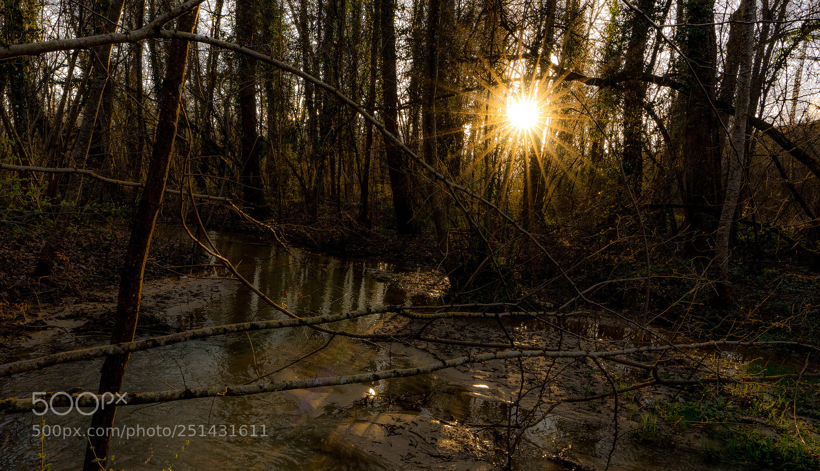 Sony a7R III sample photo. Sun test photography