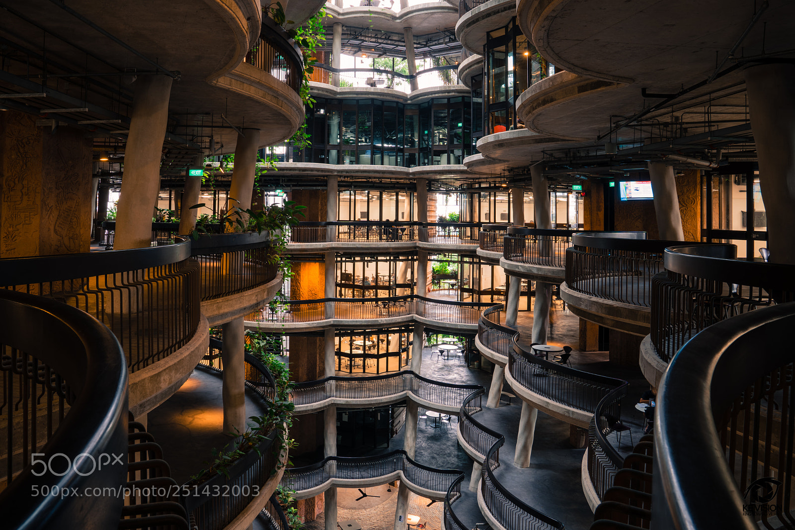 Sony a7 III sample photo. Inside the hive photography