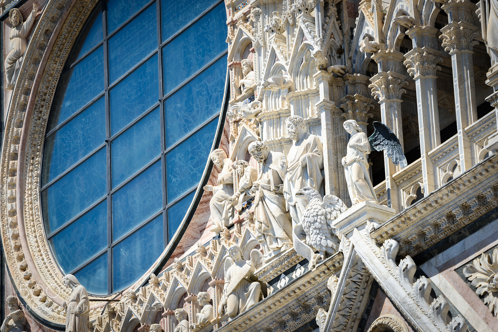 Nikon D810 sample photo. Siena cathedral photography