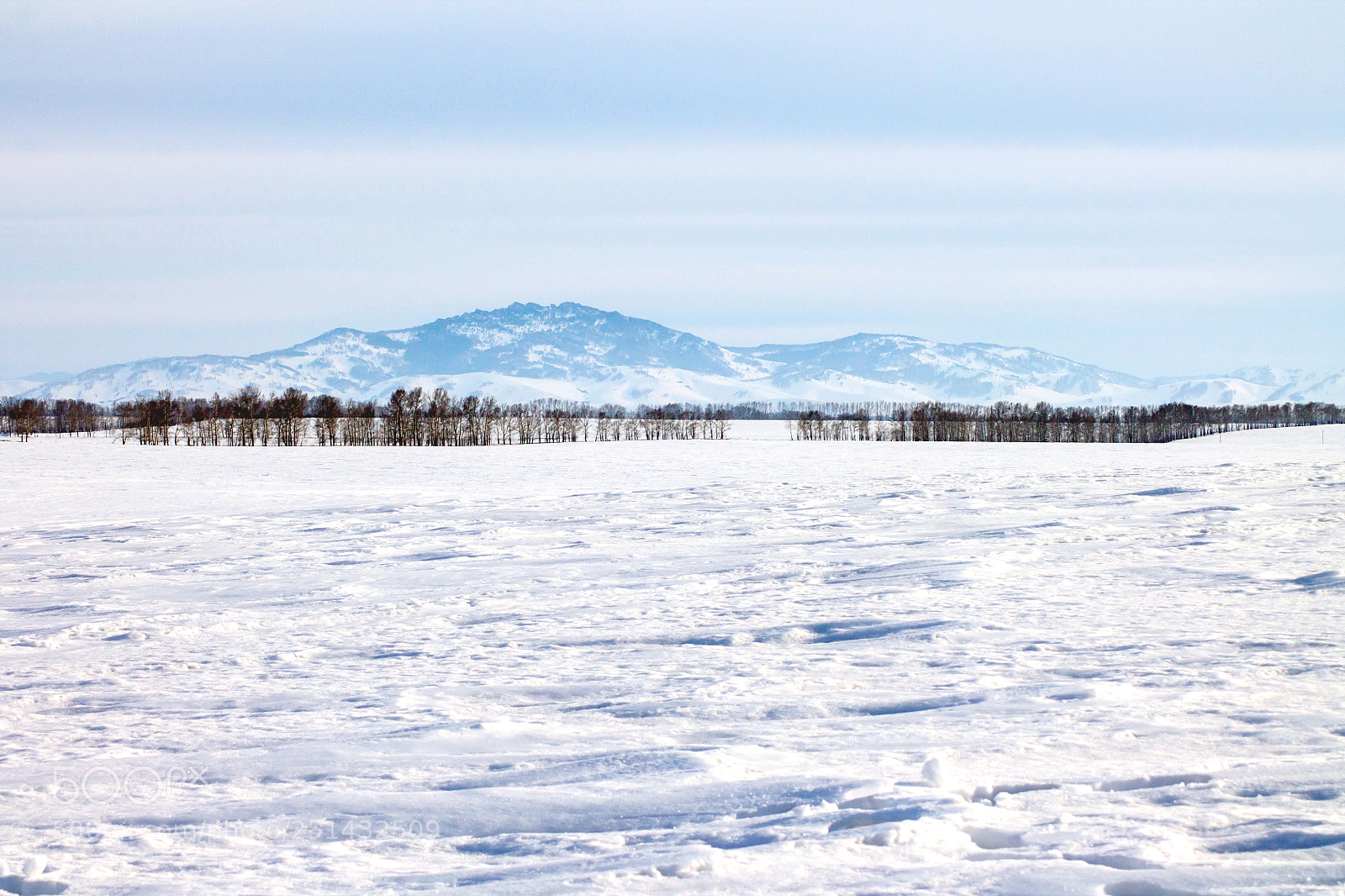 Canon EOS 1100D (EOS Rebel T3 / EOS Kiss X50) sample photo. Altai photography