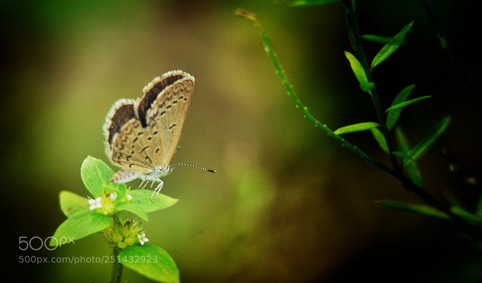 Nikon D300 sample photo. Untitled photography
