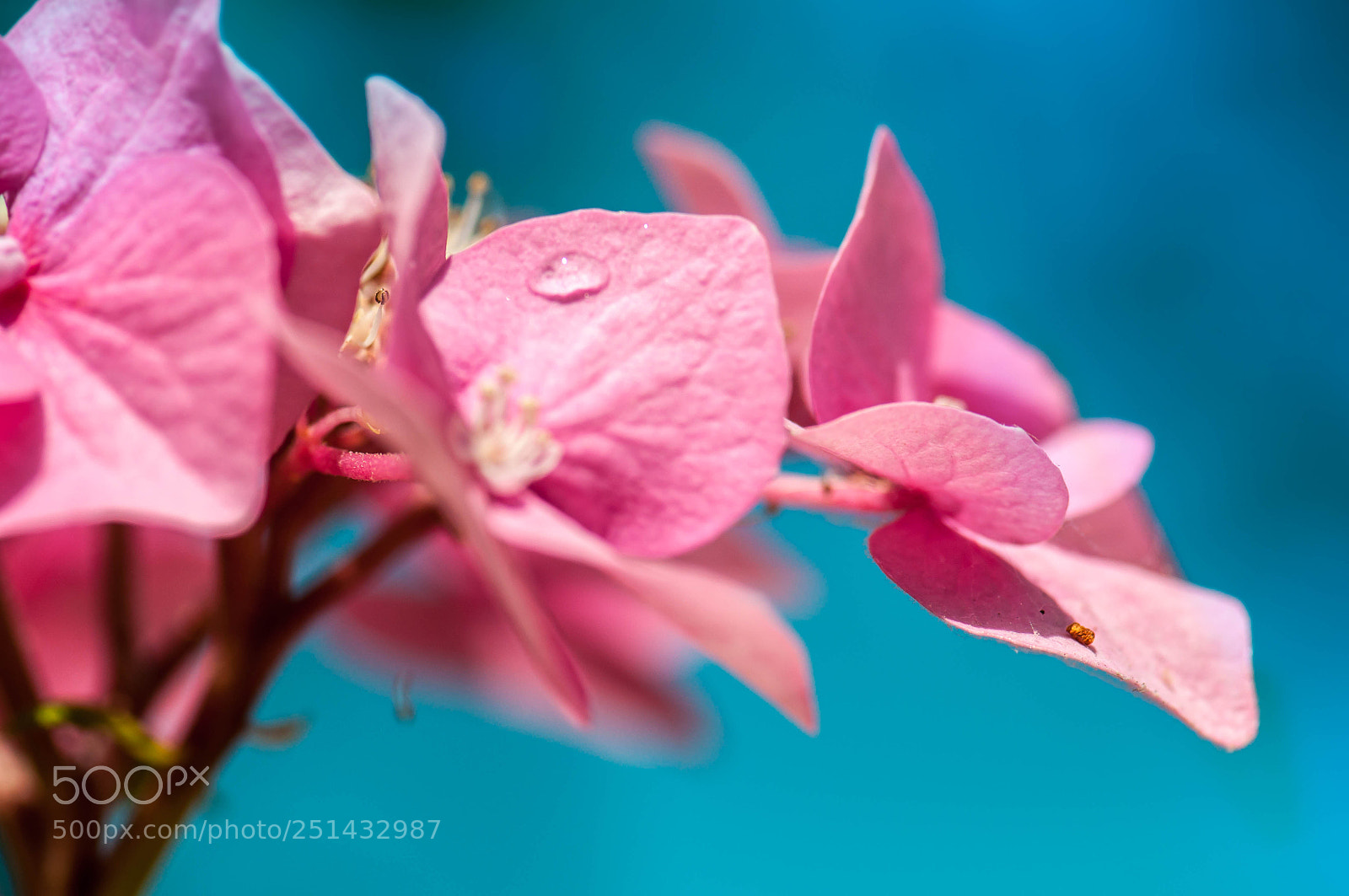 Nikon D90 sample photo. Spring photography