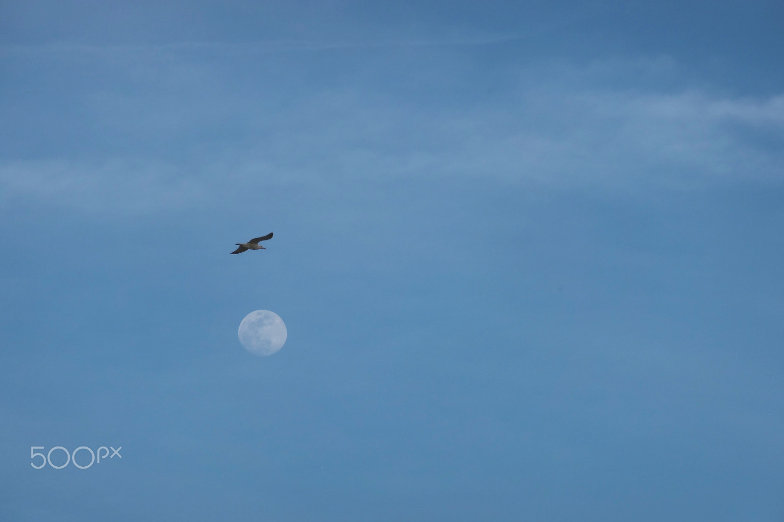 Panasonic Lumix DMC-ZS100 (Lumix DMC-TZ100) sample photo. Over the moon photography