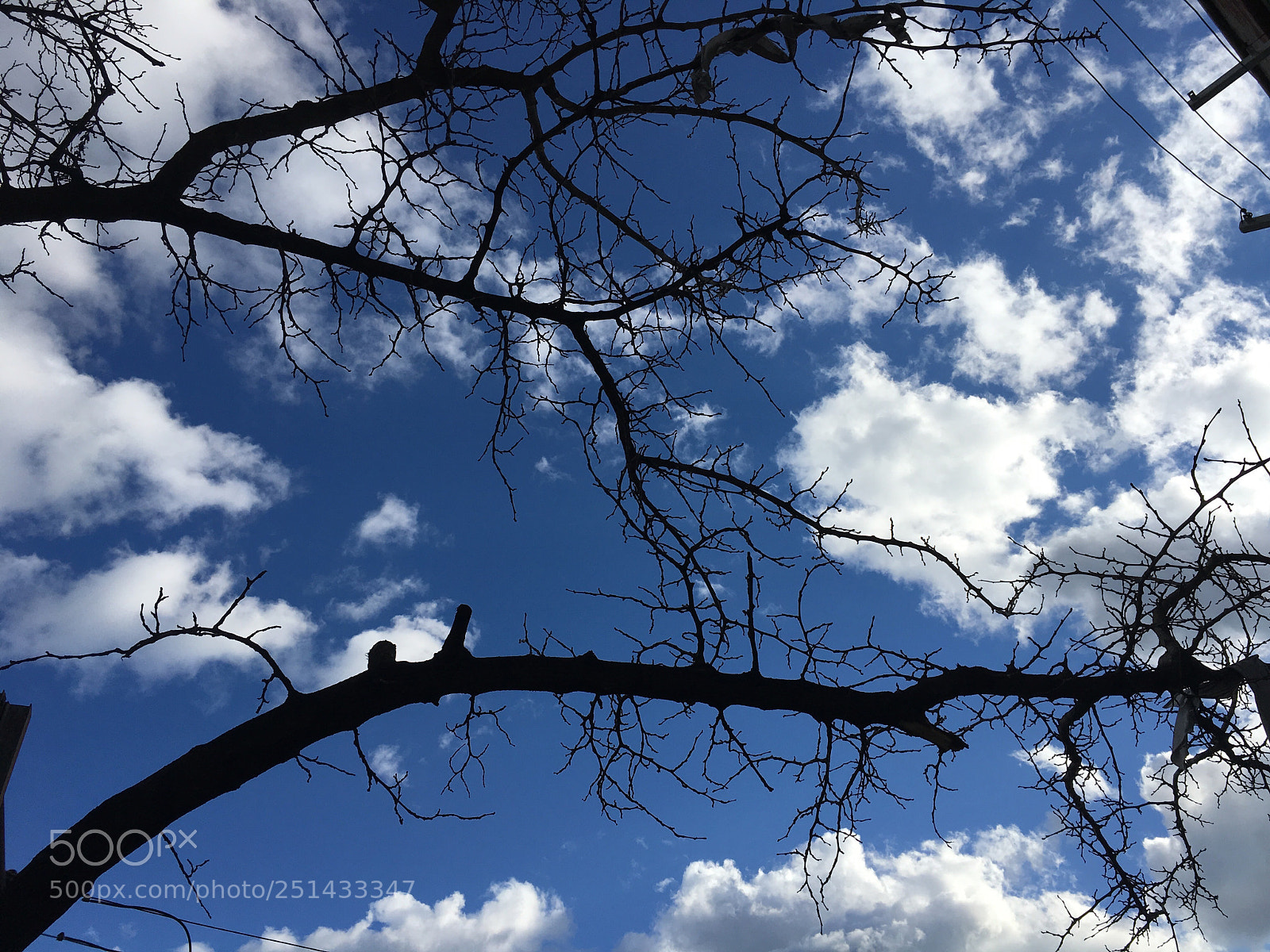 Apple iPhone 6s sample photo. Untitled photography