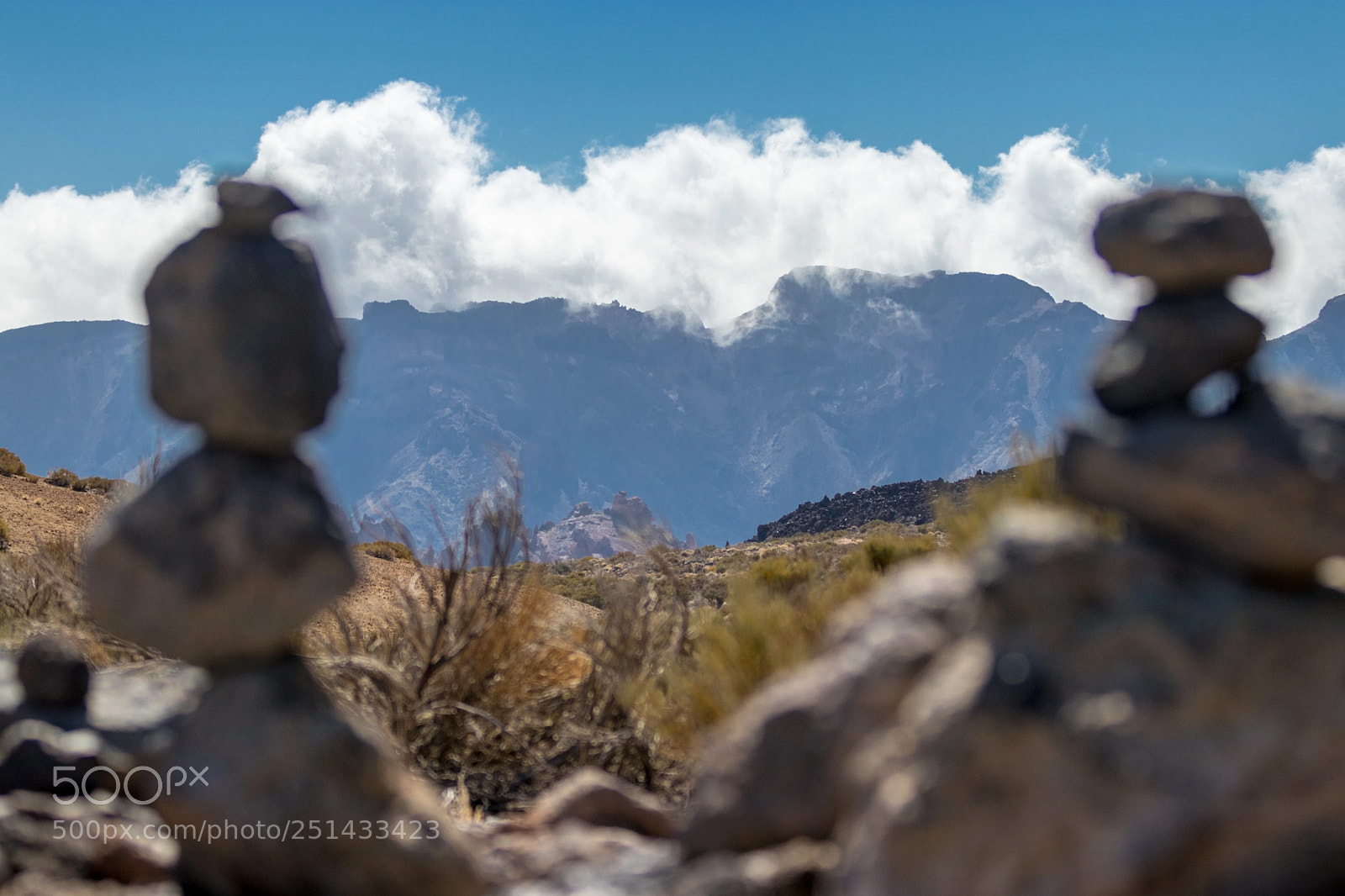 Canon EOS 80D sample photo. Natural framing photography