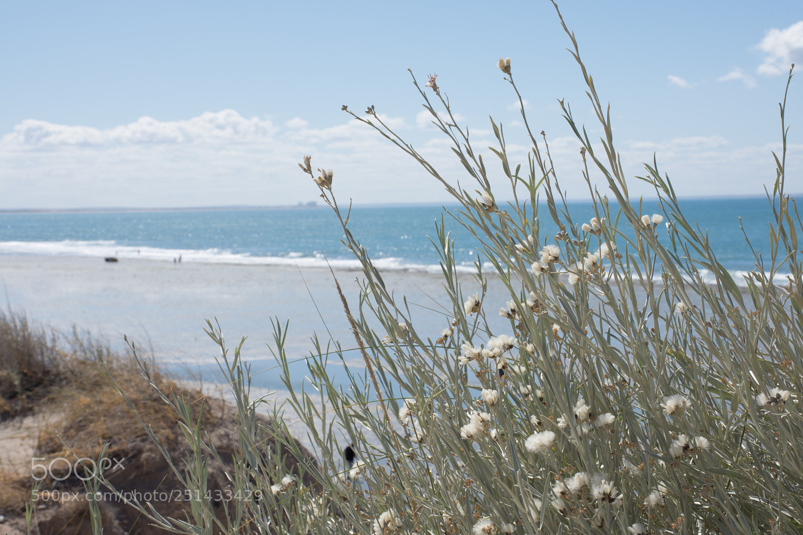 Nikon D7200 sample photo. Untitled photography