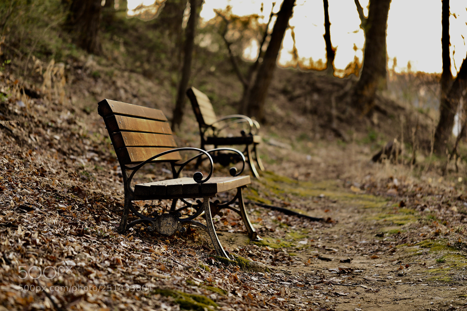 Canon EOS 5D Mark IV sample photo. Wait photography