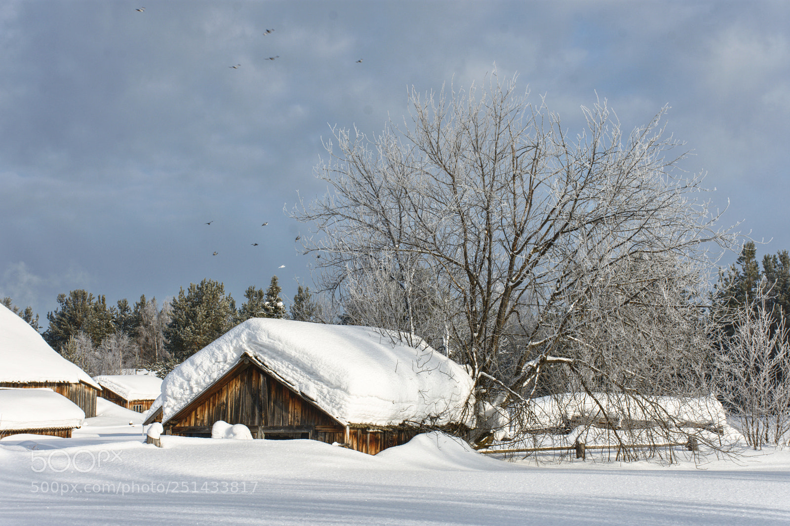 Nikon D7200 sample photo. Вот такая у нас весна.... photography