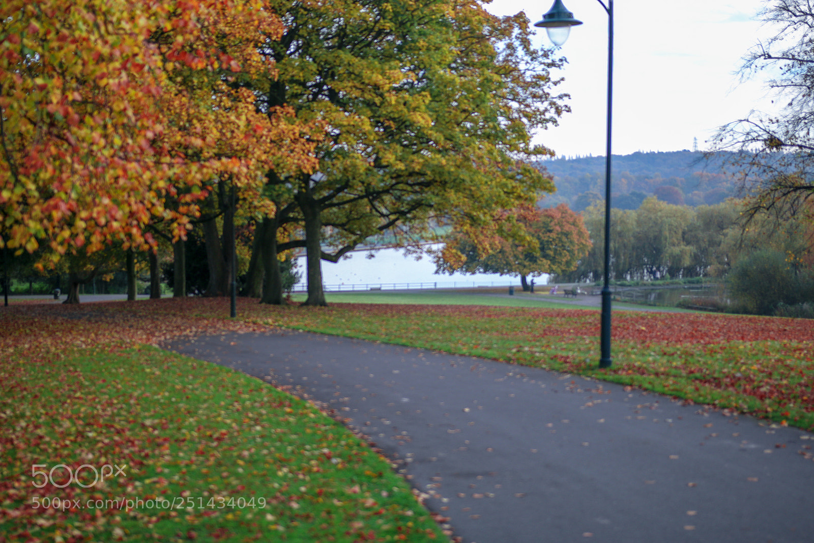 Canon EOS 70D sample photo. Untitled photography