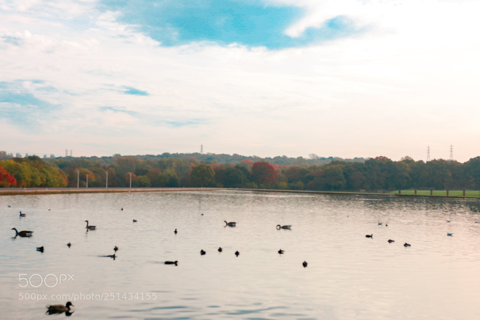 Canon EOS 70D sample photo. Untitled photography