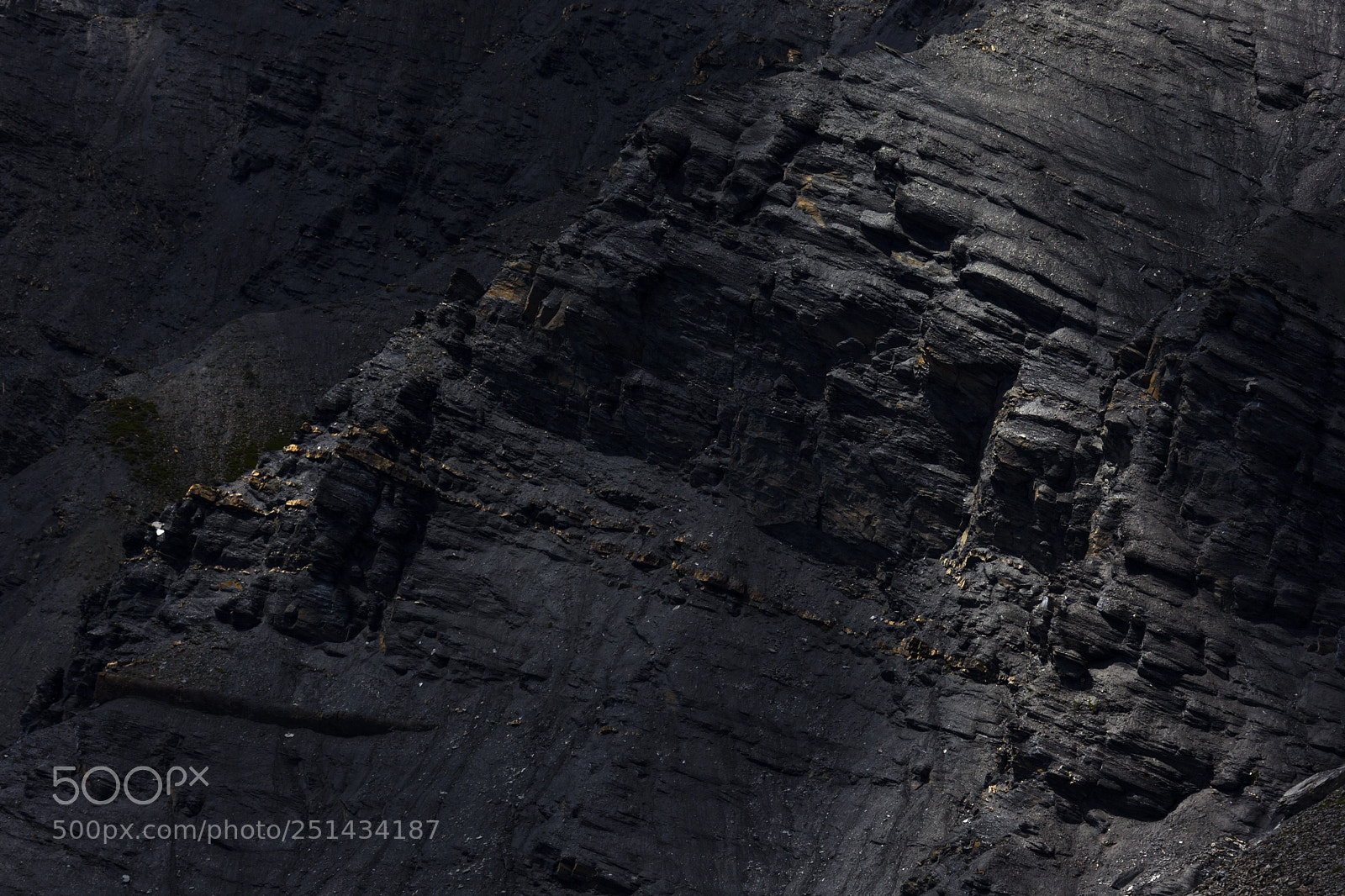 Canon EOS 5D Mark II sample photo. D tail dans la photography