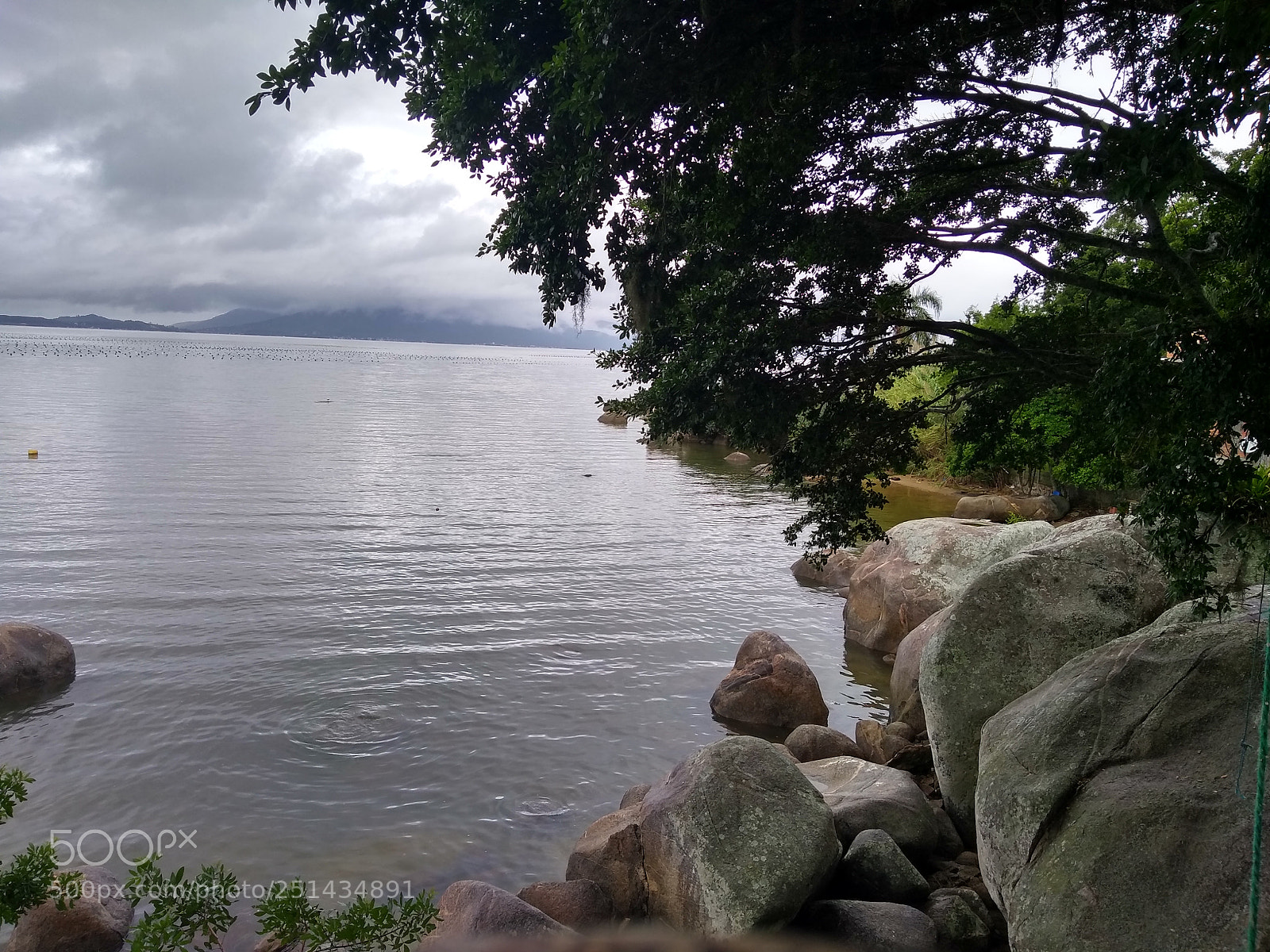 Motorola Moto G (5S) Plus sample photo. Untitled photography