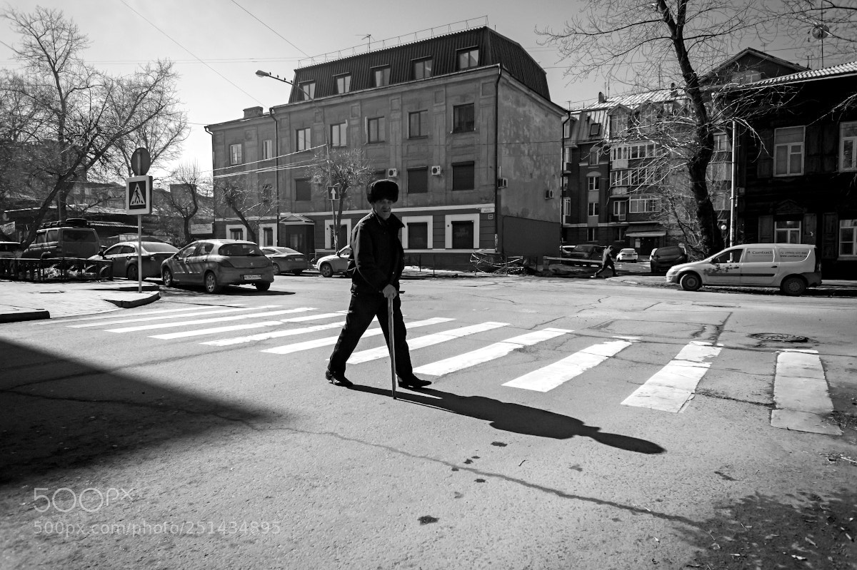 Sony Alpha NEX-5 sample photo. Untitled photography