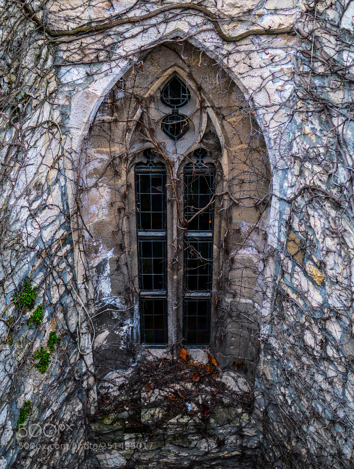 Sony a6500 sample photo. Window photography