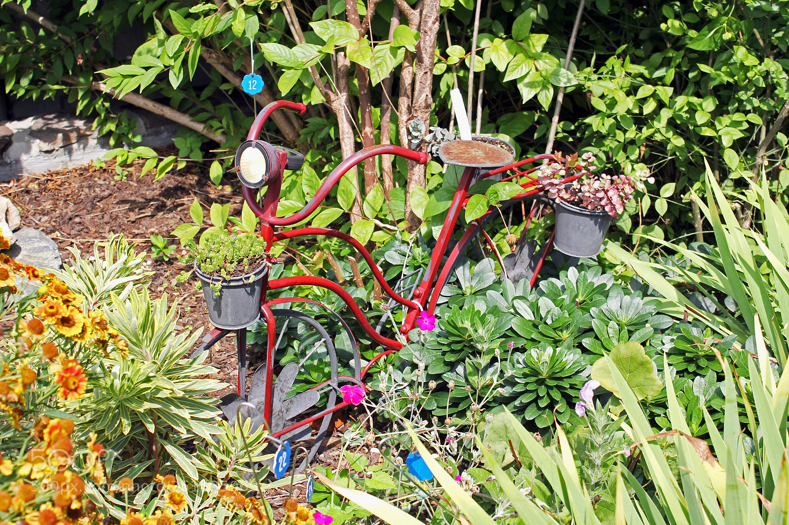 Canon EOS 60D sample photo. Whimsical bicycle at lake photography
