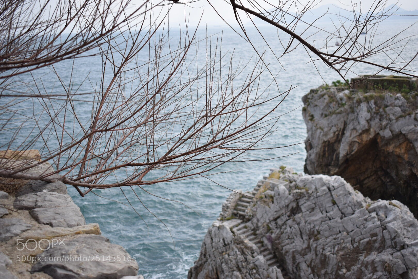Nikon D5300 sample photo. Untitled photography