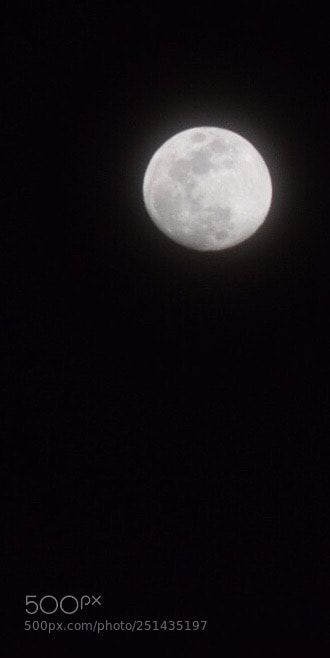 Nikon D5300 sample photo. Untitled photography