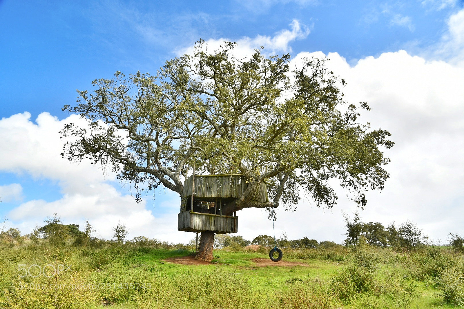 Nikon D7500 sample photo. Tree house photography