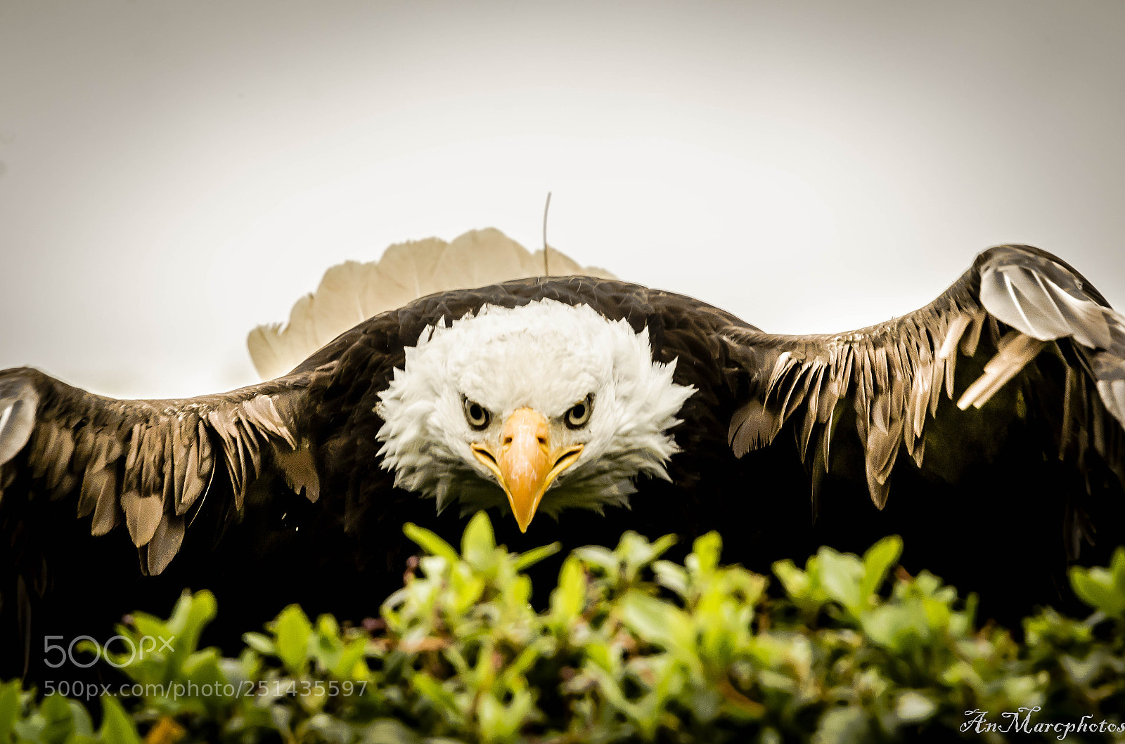 Nikon D7000 sample photo. Rambouillet () photography