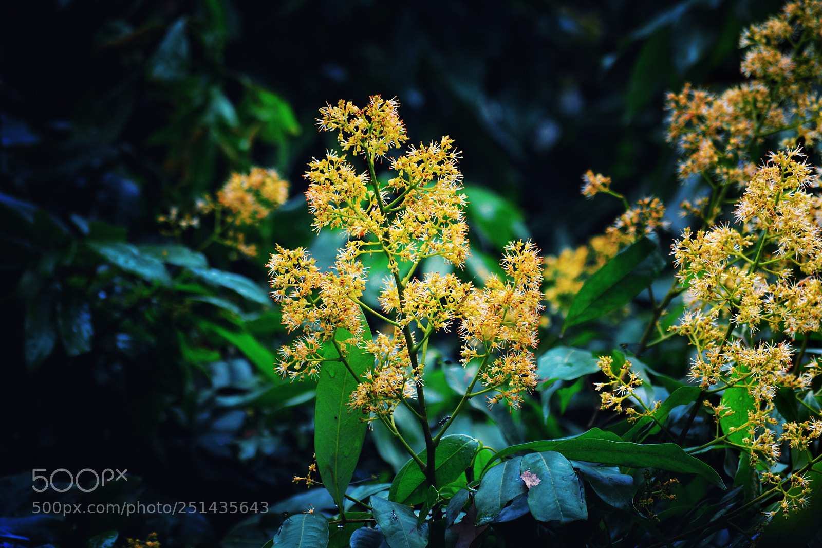 Nikon D5200 sample photo. Untitled photography