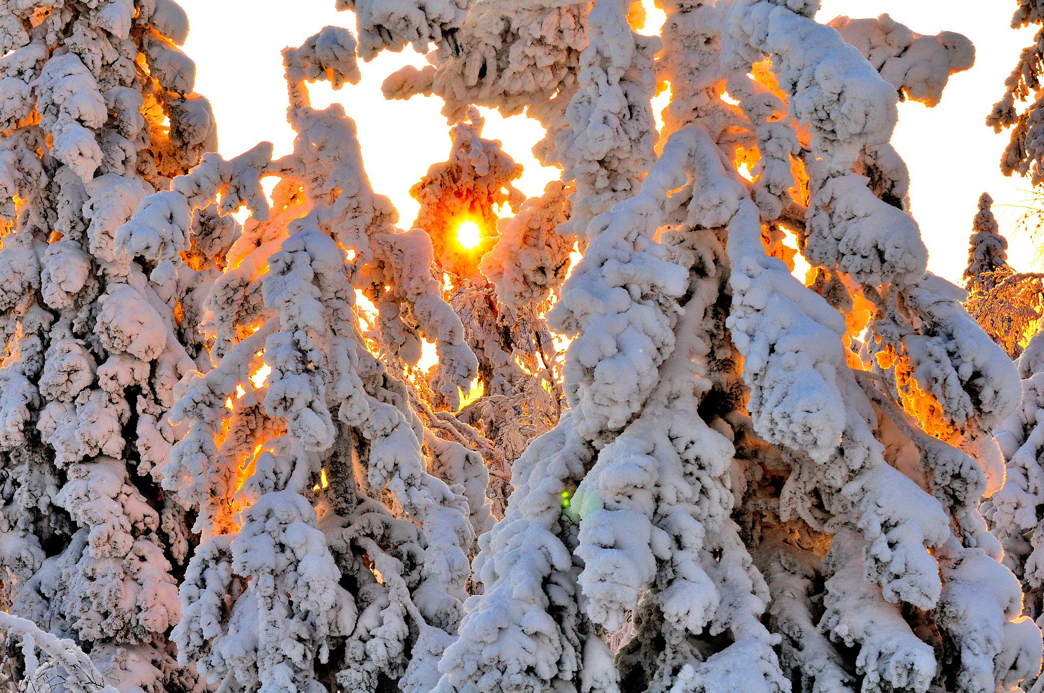 Nikon D5000 sample photo. Winter photography