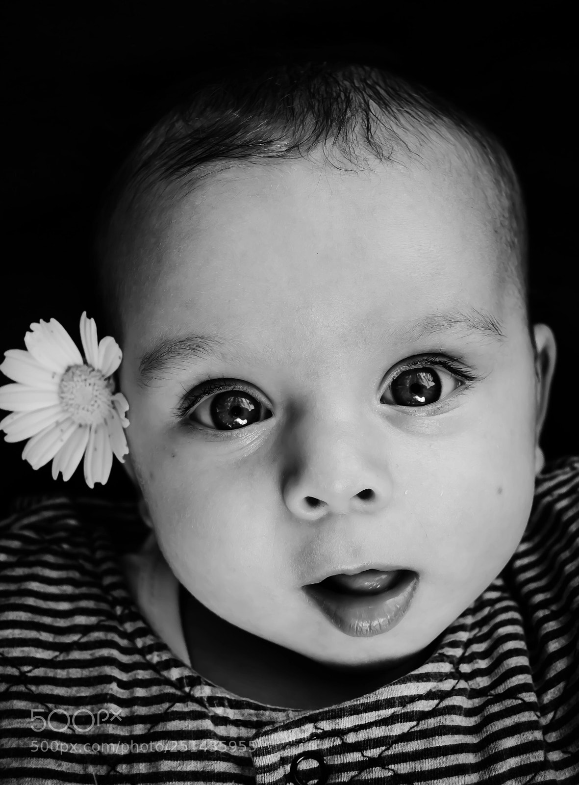 Nikon D3100 sample photo. Untitled photography