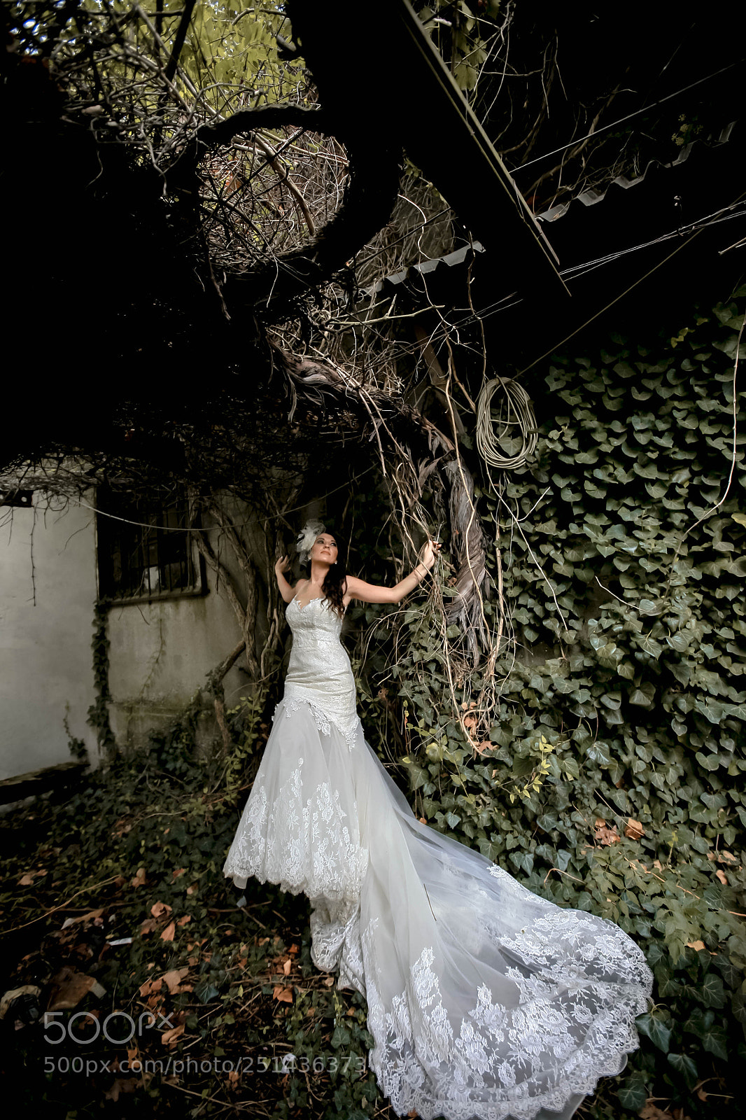 Canon EOS 5D sample photo. Img photography