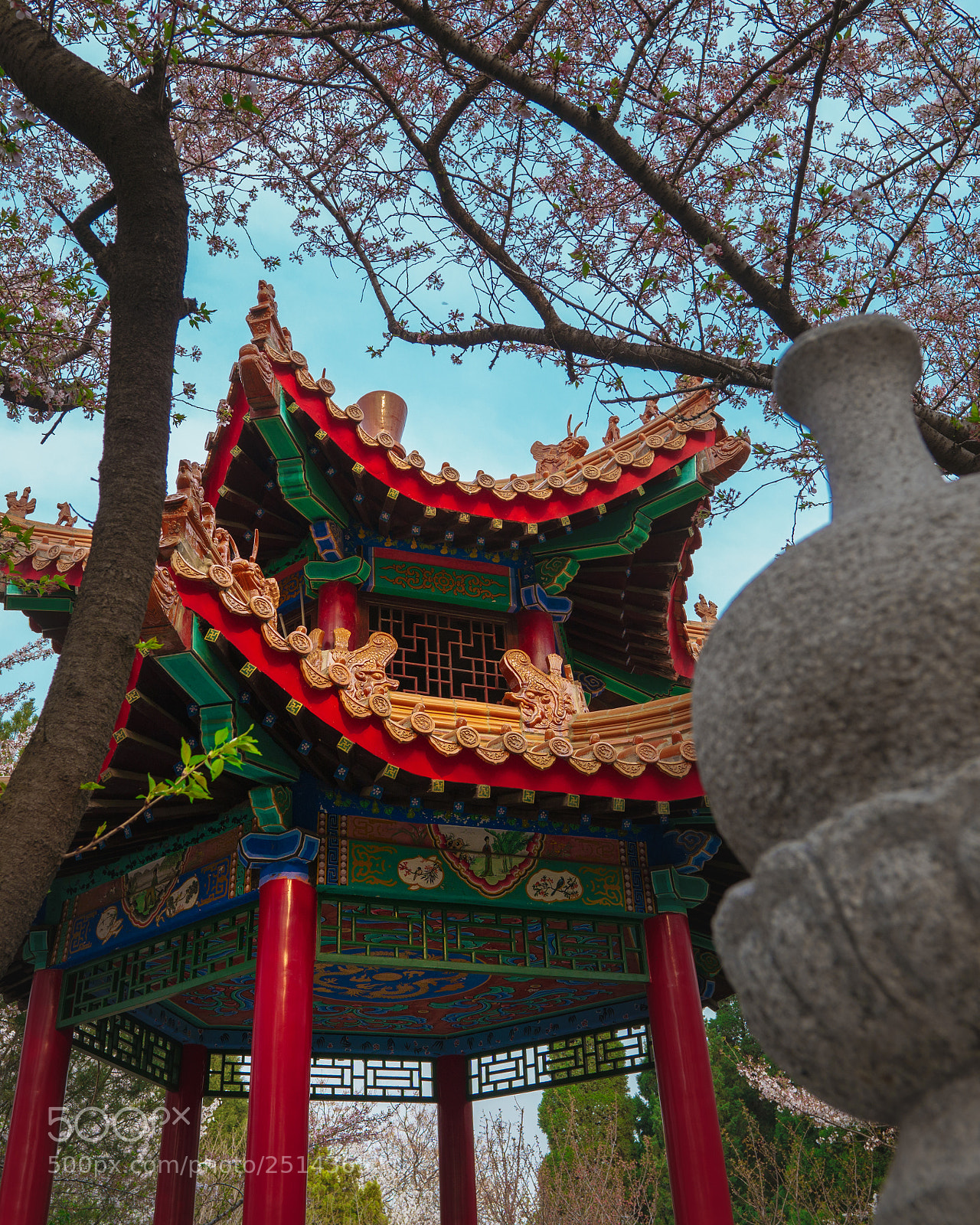 Sony a6300 sample photo. Untitled photography