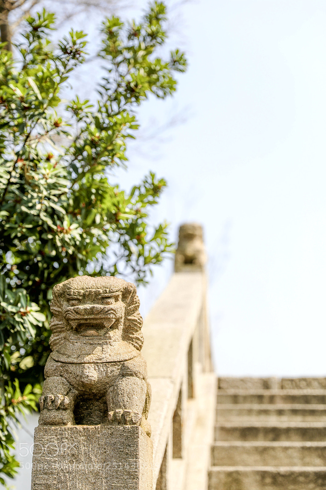 Canon EOS 5D Mark IV sample photo. Dangkou town 6 photography