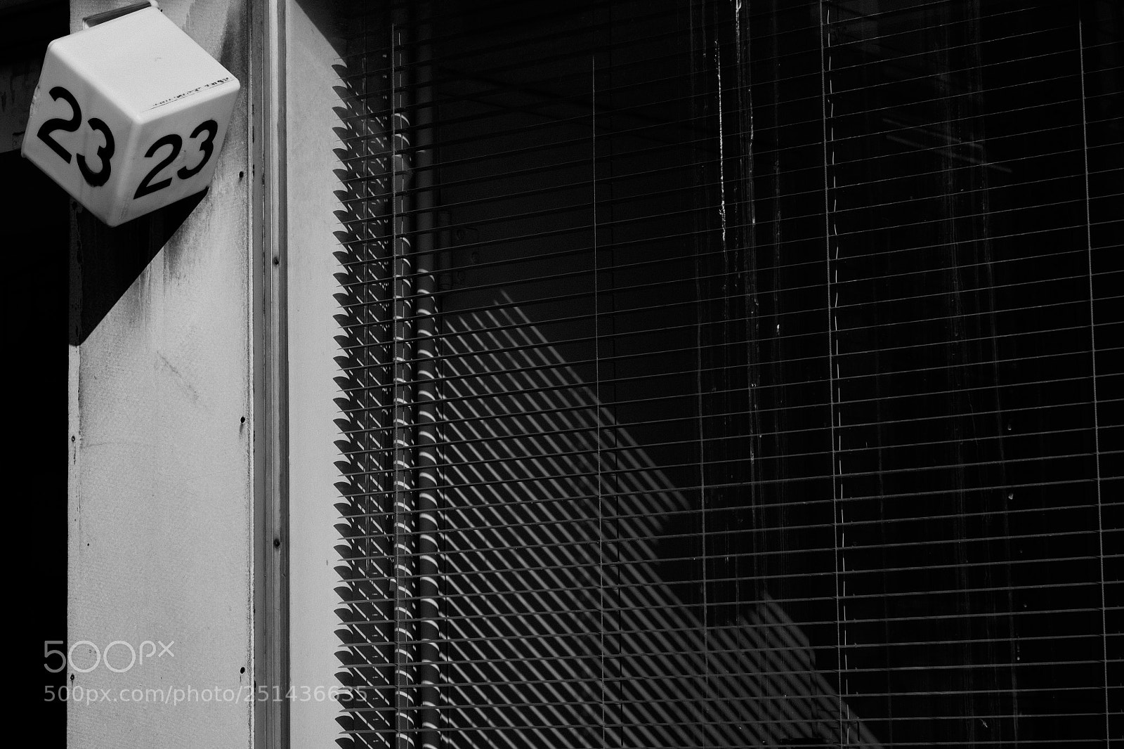 Fujifilm X-T1 sample photo. 23 photography