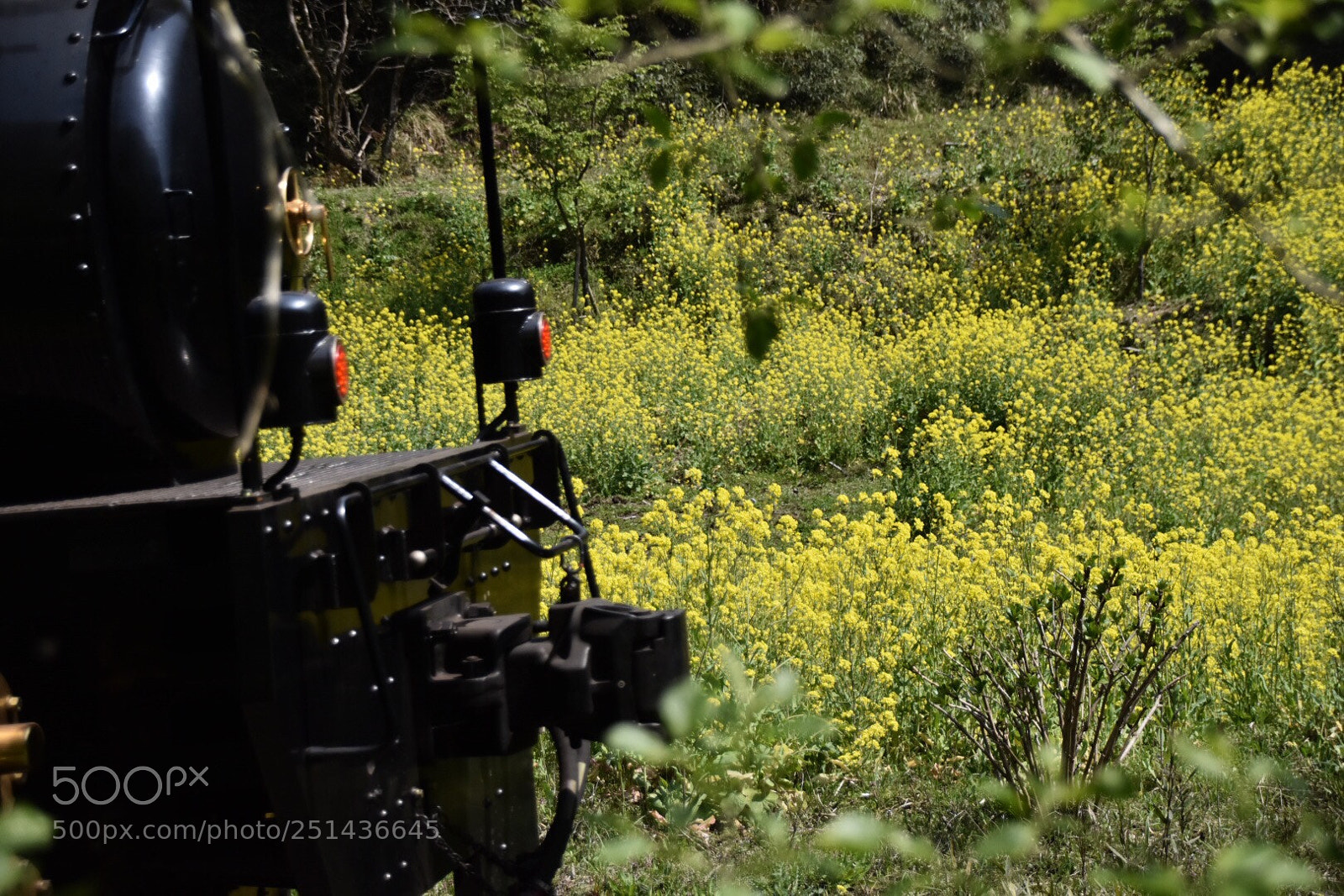 Nikon D7200 sample photo. Untitled photography