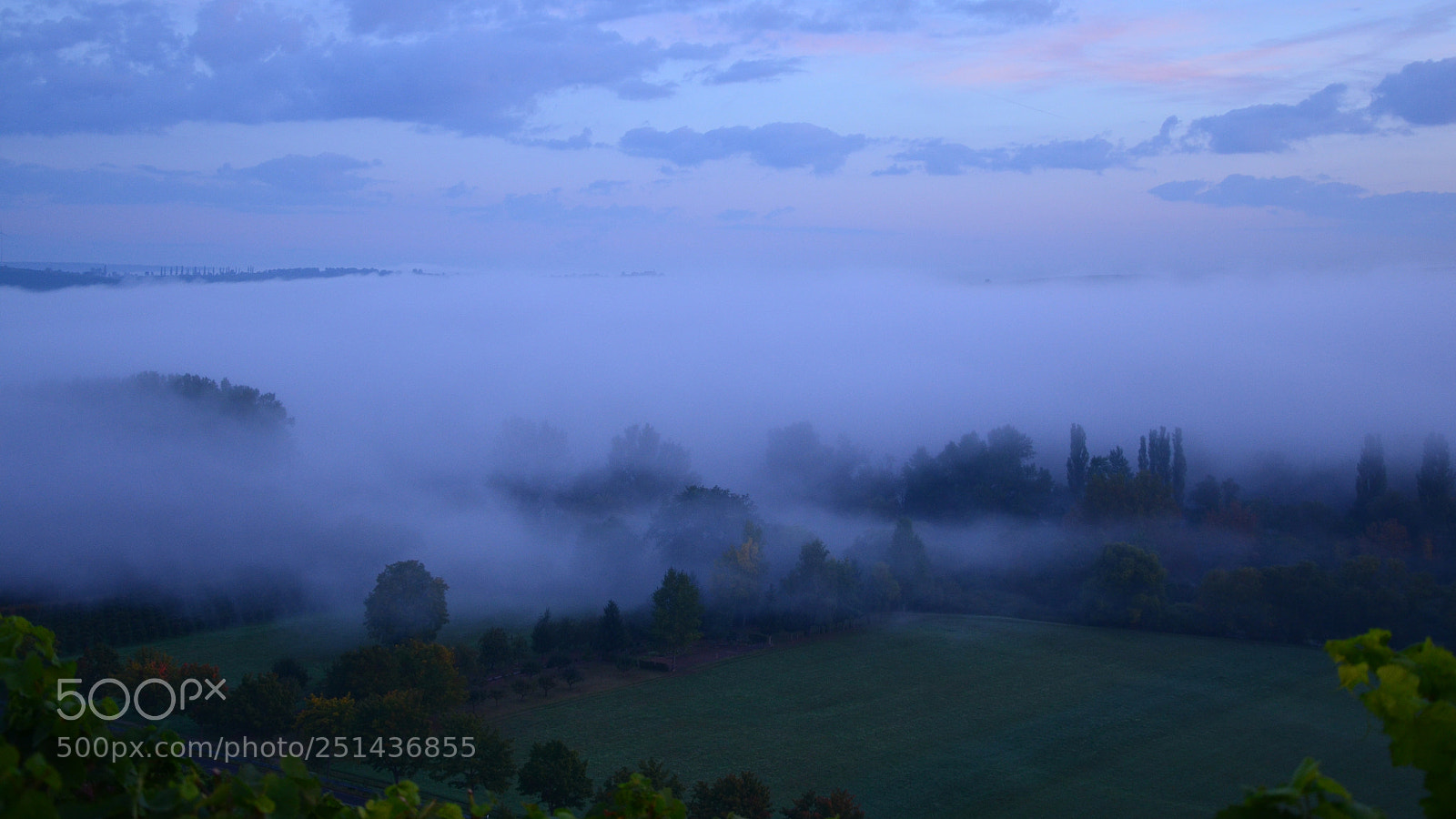 Nikon D5100 sample photo. Morning has broken photography