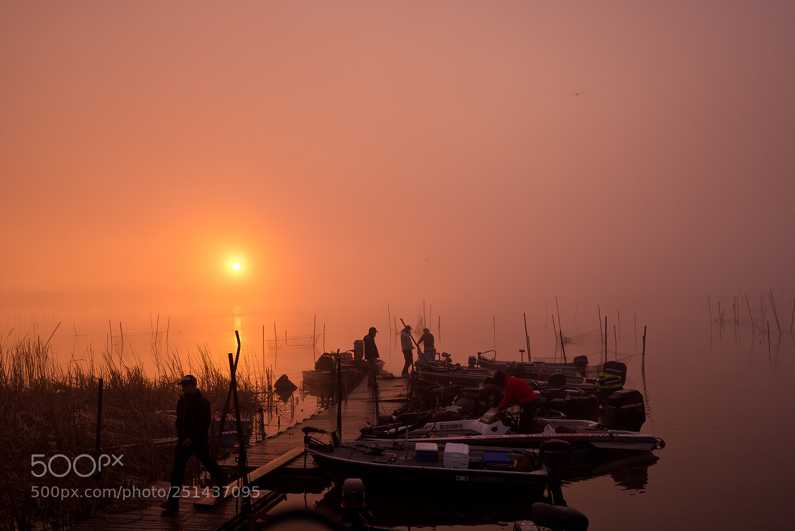 Sony a7S sample photo. Foggy sunrise photography