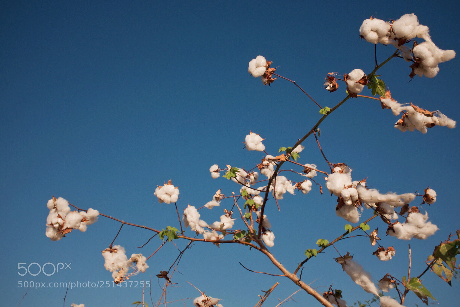 Fujifilm X100T sample photo. You can make your photography