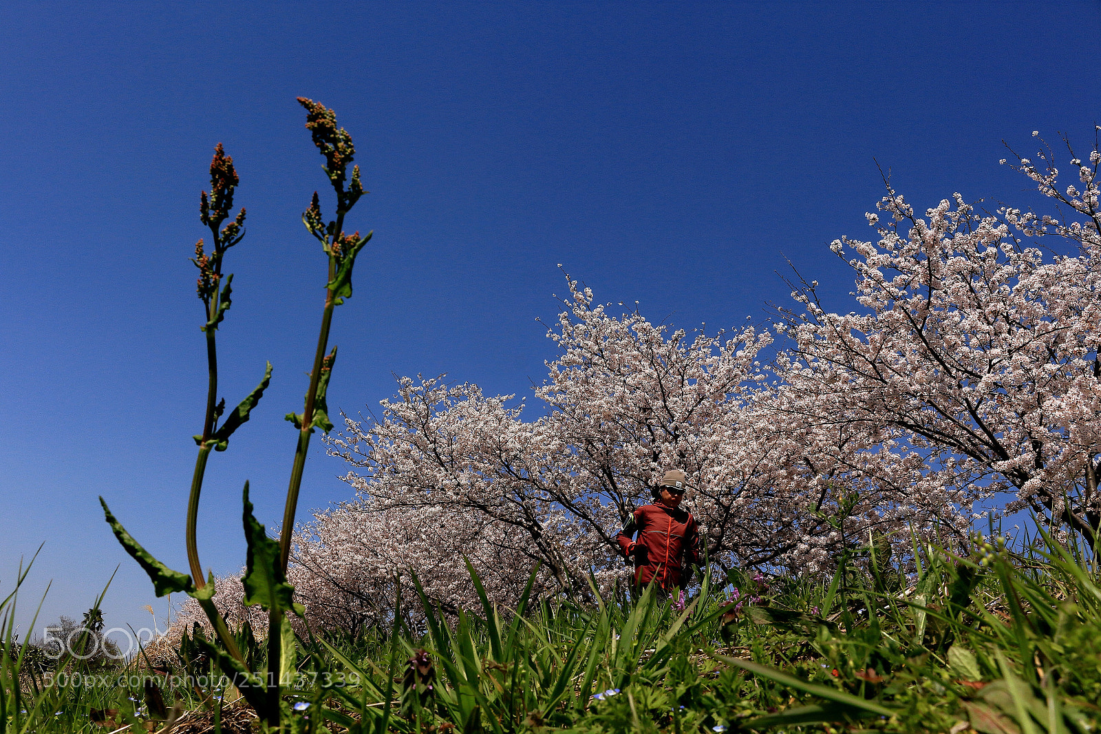 Canon EOS 100D (EOS Rebel SL1 / EOS Kiss X7) sample photo. Ride on time photography