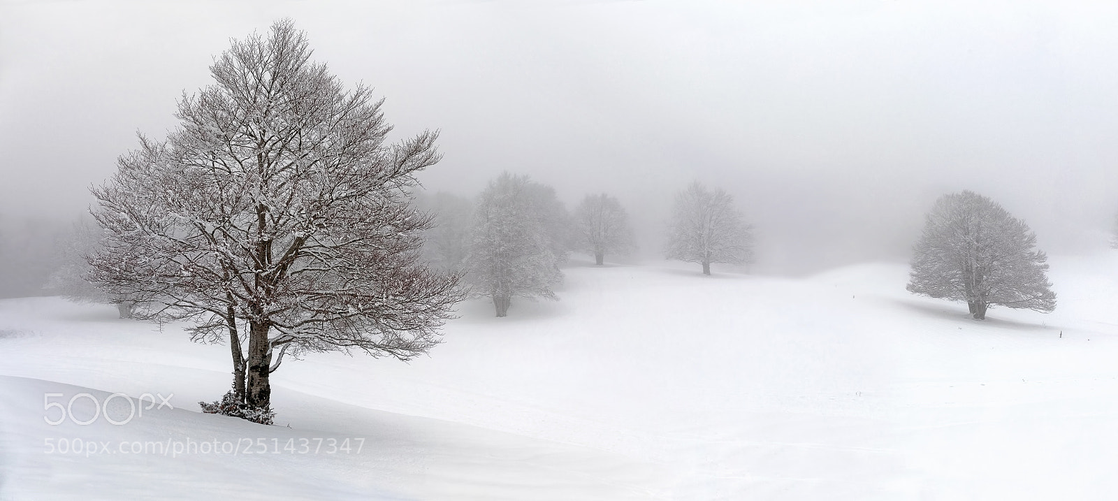 Canon EOS 5D Mark IV sample photo. Winter mountain landscape, path photography