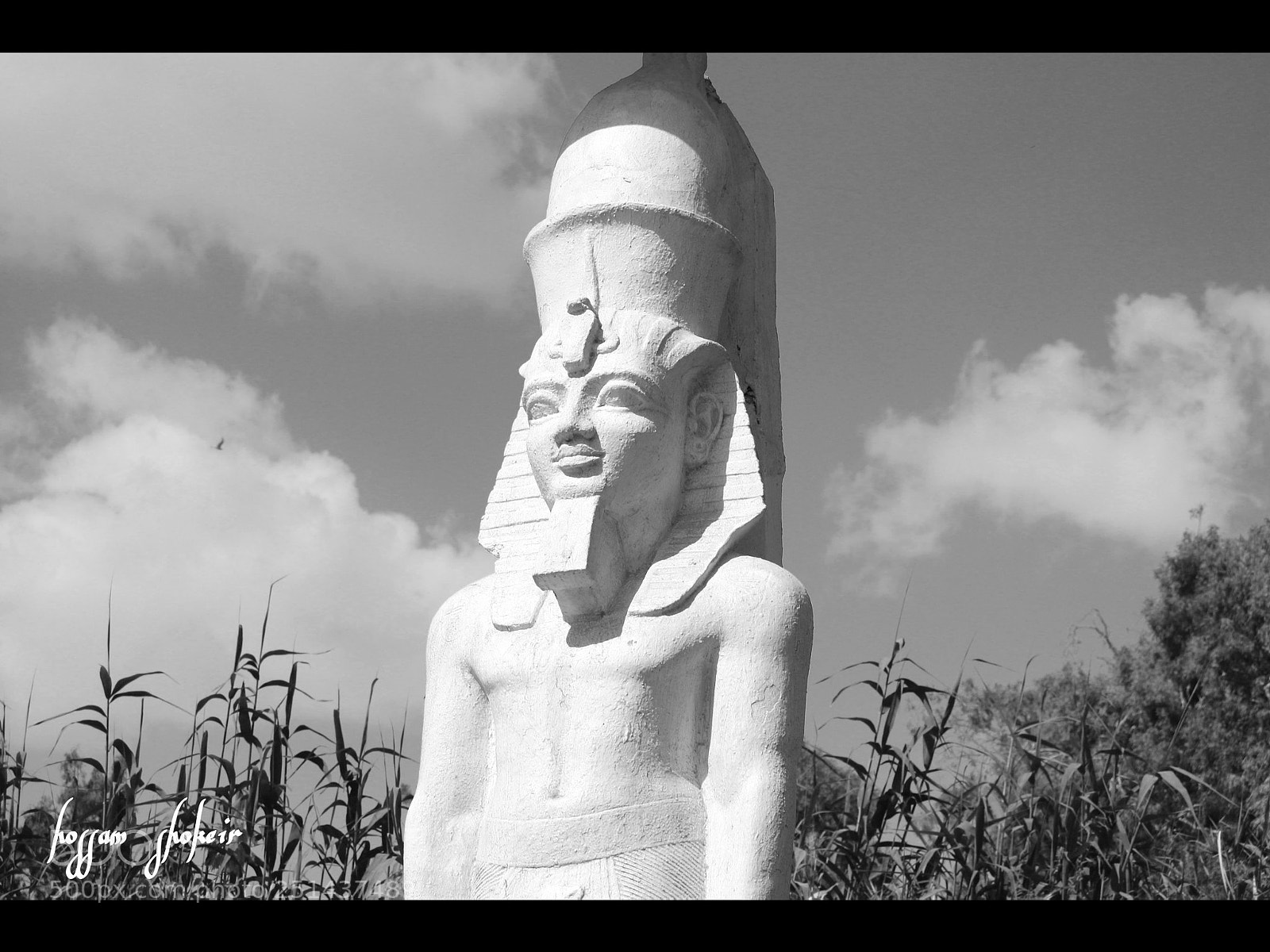 Canon EOS 7D Mark II sample photo. Black and white photography
