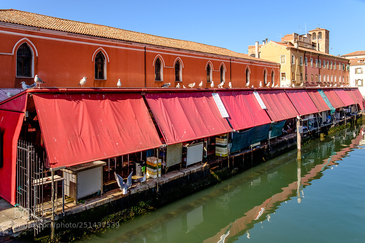 Fujifilm X-T1 sample photo. Pescheria photography