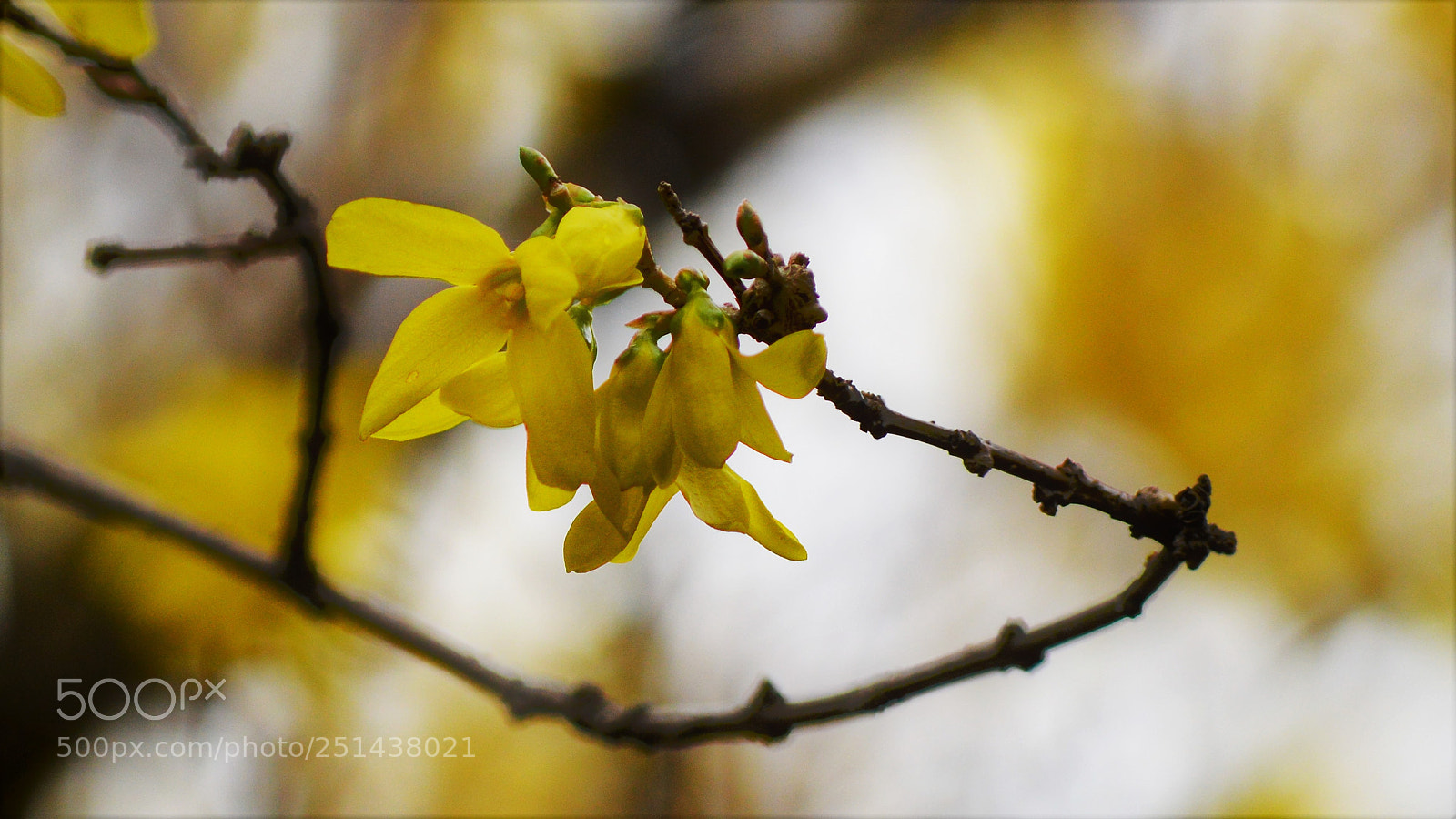 Nikon D3200 sample photo. Untitled photography