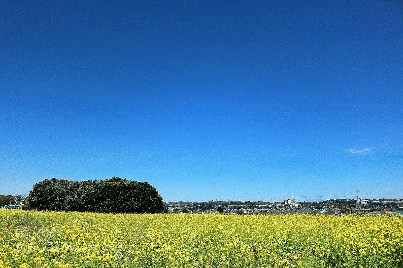 Canon EOS 100D (EOS Rebel SL1 / EOS Kiss X7) sample photo. Ride on time photography