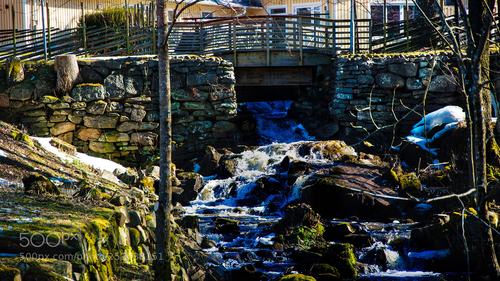 Nikon D5500 sample photo. Untitled photography